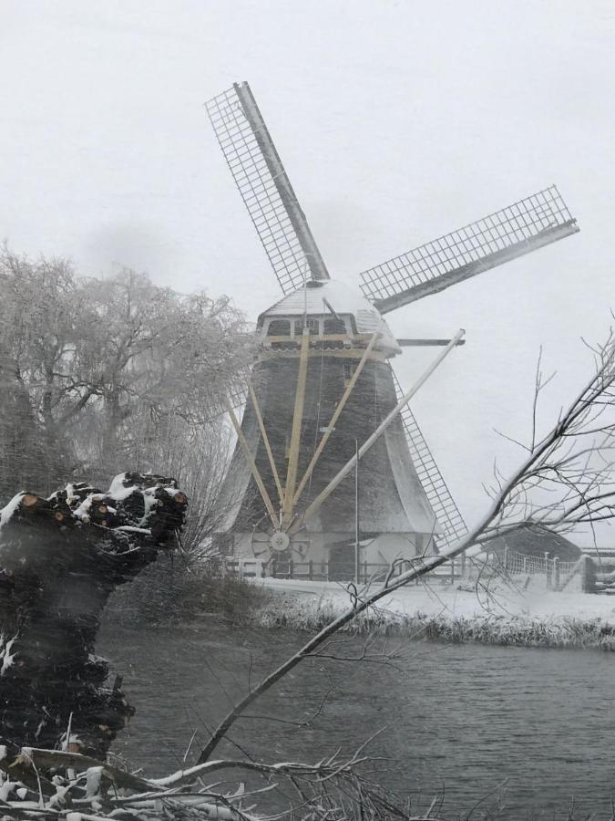 Mondriaanmolen, A Real Windmill Close To Amsterdam Abcoude Exterior photo